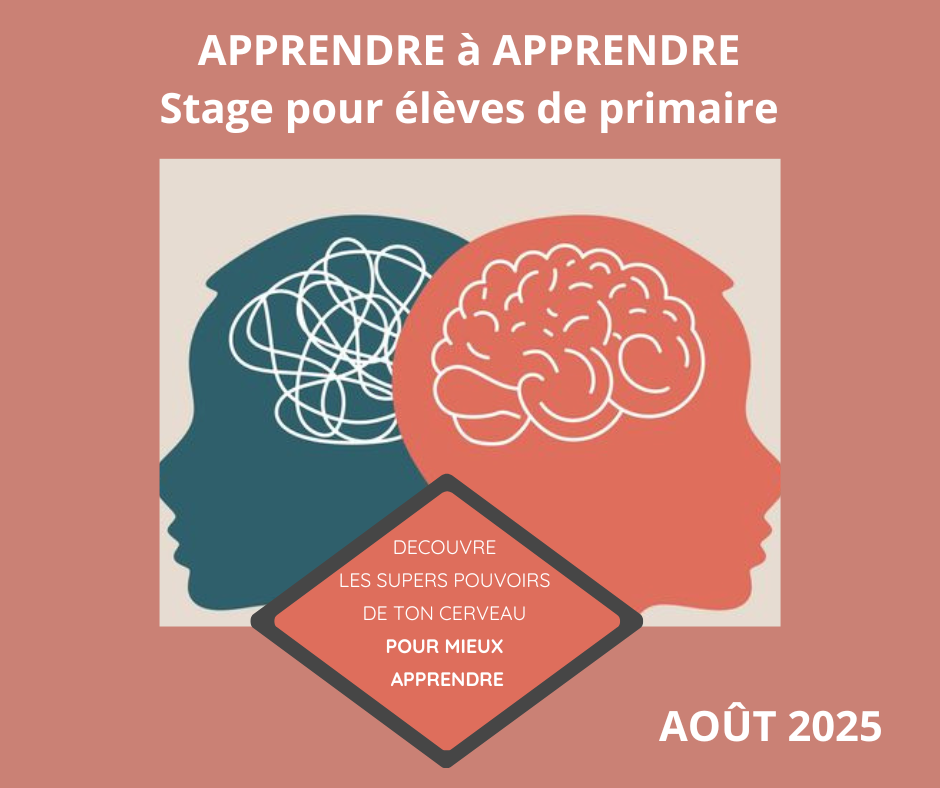 Stages Août- Apprendre à apprendre - Primaires - P1