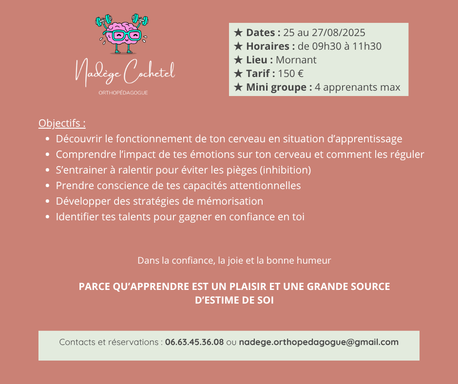 Stages Août- Apprendre à apprendre - Primaires - P2